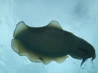 DSC08349