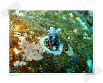 P6260203