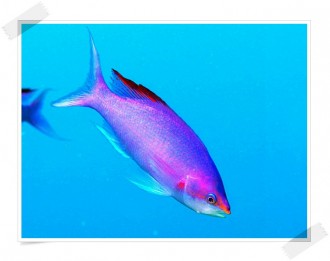 P7040133