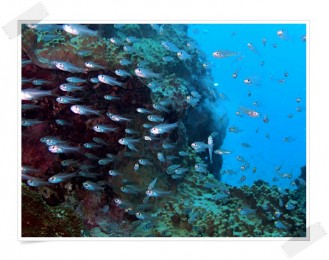 P7050262