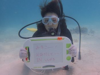 石垣島 体験ダイビング
