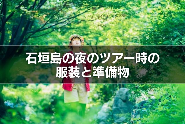 石垣島の夜のツアー時の服装と準備物