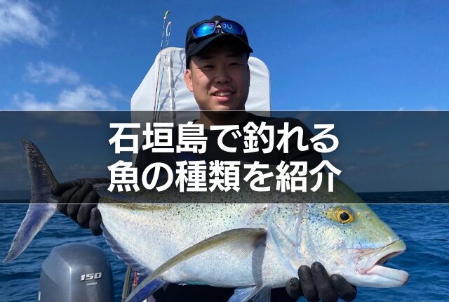 石垣島で釣れる魚の種類を紹介