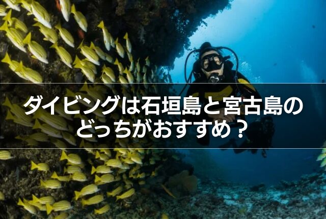 ダイビングは石垣島と宮古島のどっちがおすすめ？