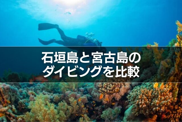 石垣島と宮古島のダイビングを比較