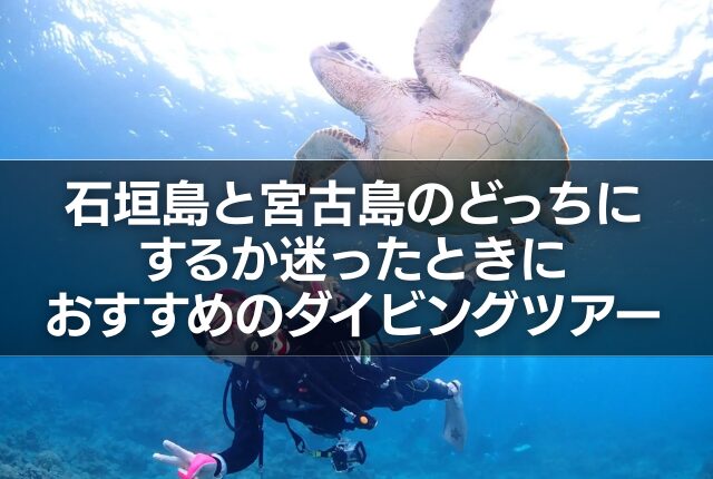 石垣島と宮古島のどっちにするか迷ったときにおすすめのダイビングツアー