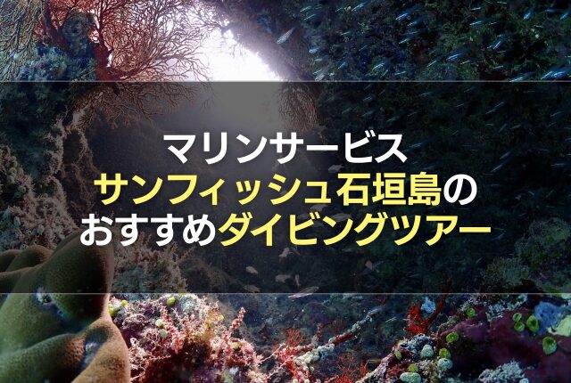 マリンサービスサンフィッシュ石垣島のおすすめダイビングツアー