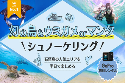 【半日】ウミガメorマンタと泳ぐ！幻の島上陸シュノーケリング【午前・午後の2便／直接集合でGoPro無料レンタル】