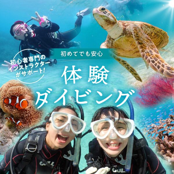 石垣島　体験ダイビング