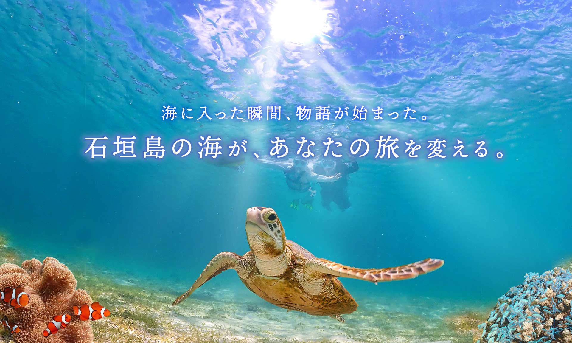 石垣島の大人気スポット・幻の島＆ウミガメ