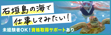採用情報