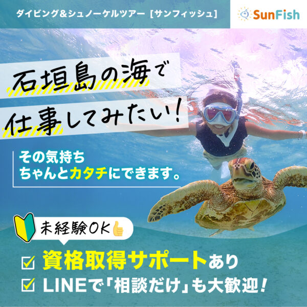 石垣島でウミガメと泳ぐスタッフ。未経験から始められるマリンスタッフ募集の案内